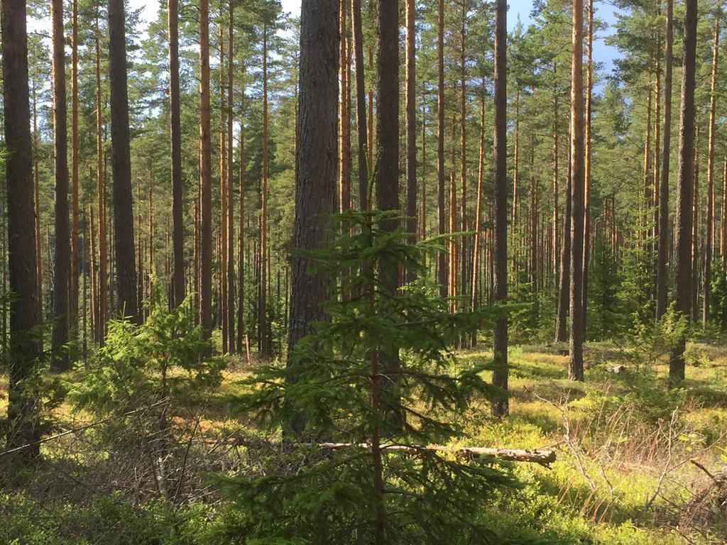 Vintergatans Rum Insjon Luaran gambar